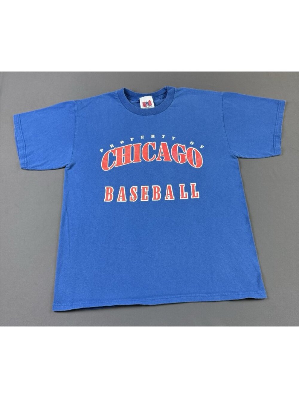 Rare Vintage 90s Chicago Cubs Baseball MLB Sports Streetwear Hype Large Promo T